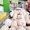 قیمت مرغ چه زمانی پایین می آید؟ / مدیرعامل اتحادیه مرغداران گوشتی پاسخ داد_61aa3e3b74d30.jpeg